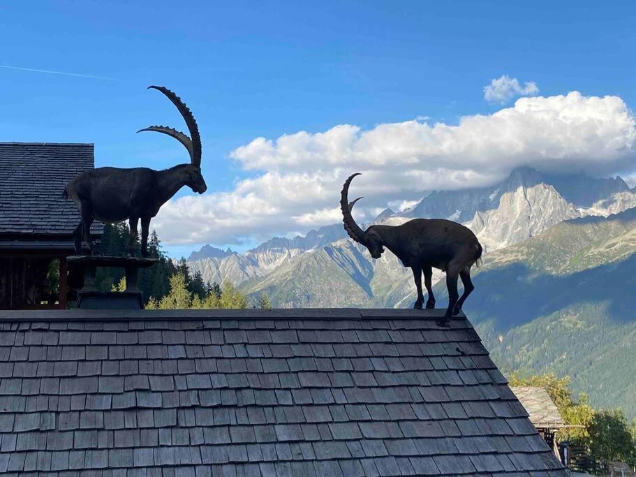 Praz Sur Arly - Proche Des Pistes Et De Megeve Apartment ภายนอก รูปภาพ