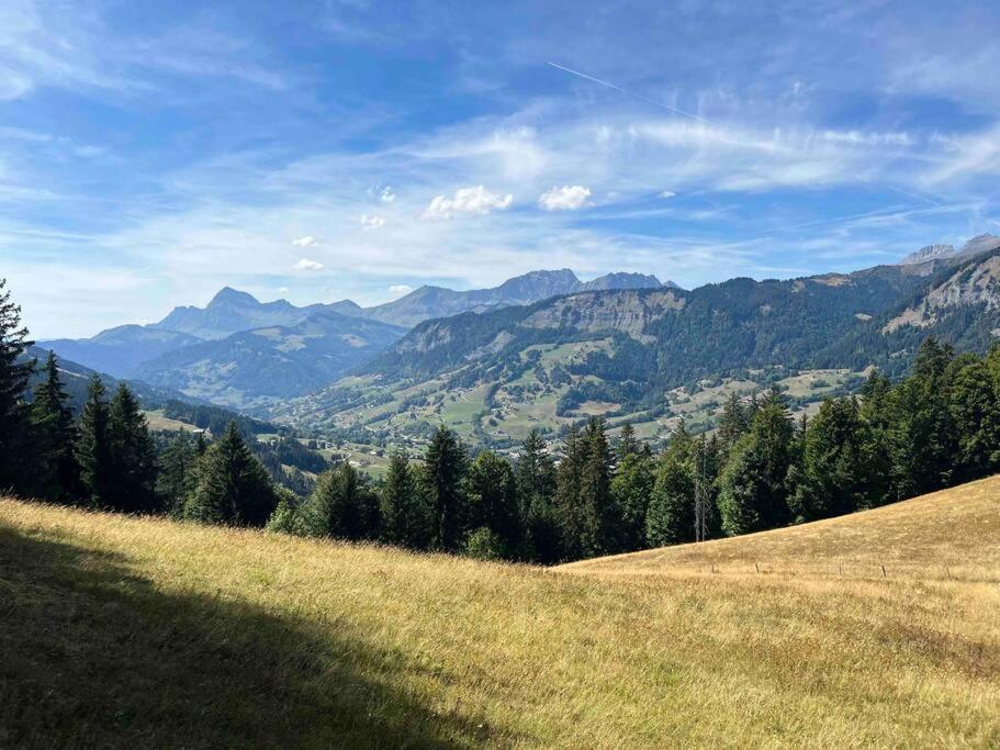 Praz Sur Arly - Proche Des Pistes Et De Megeve Apartment ภายนอก รูปภาพ