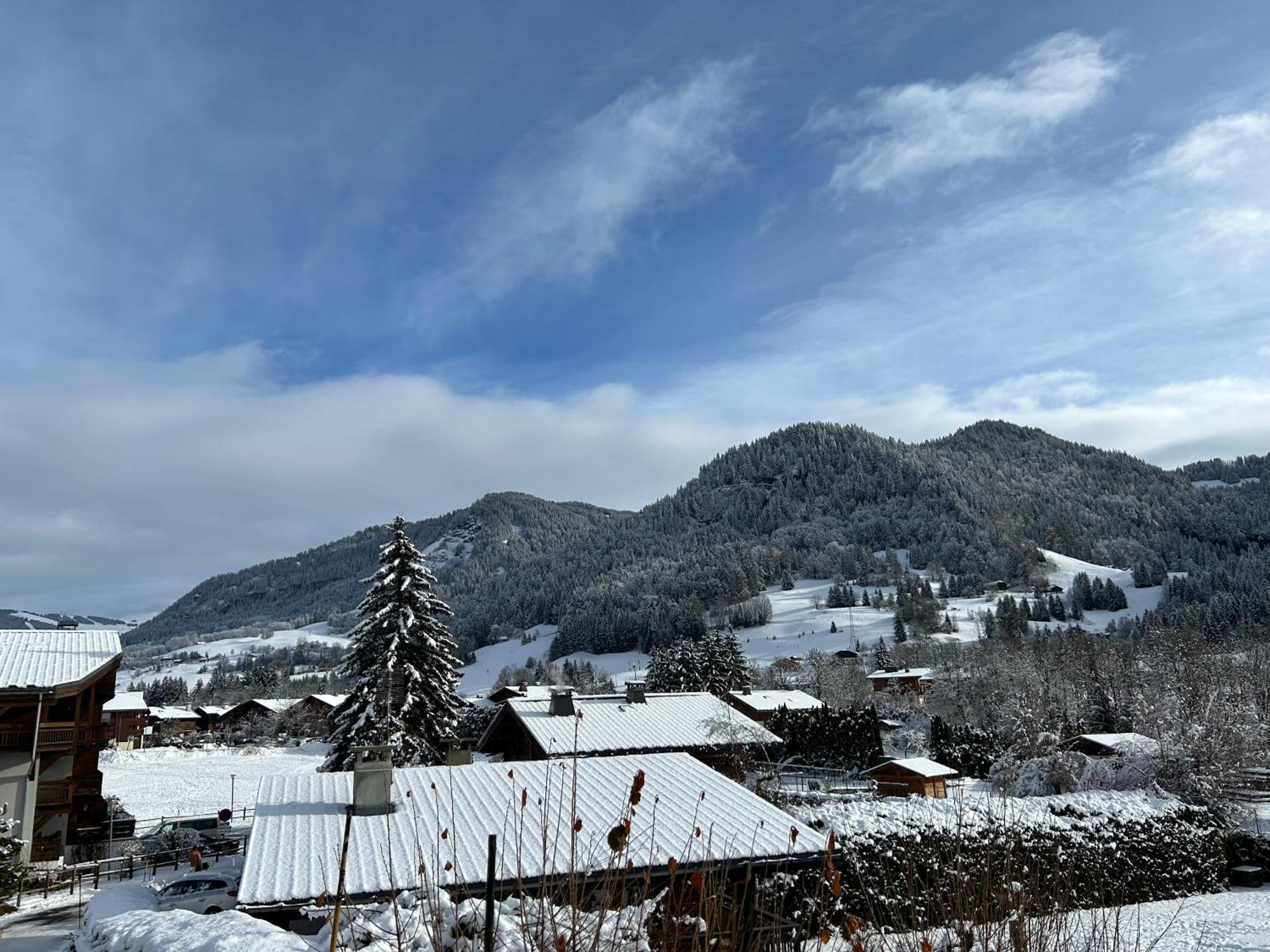 Praz Sur Arly - Proche Des Pistes Et De Megeve Apartment ภายนอก รูปภาพ